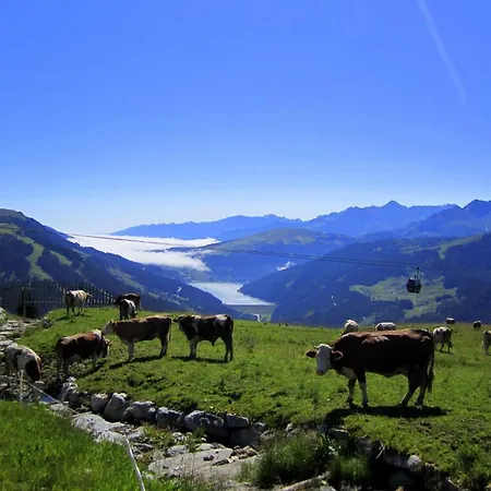 Gasthof Oberwirt Und Elisabeth