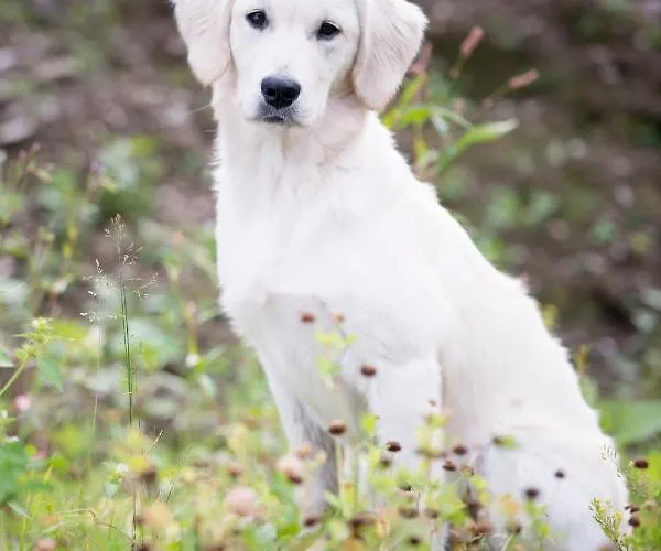 Zajazd Oberwirt Gerlos